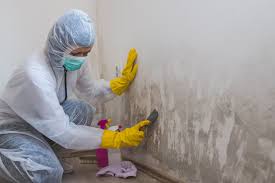 Best Industrial Mold Remediation  in North Laurel, MD